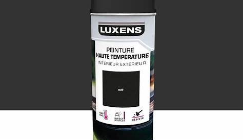 Peinture Noir Mat Haute Temperature Bombe Motip Température 500 Ml