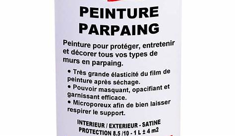 Peinture Pour Brique Leroy Merlin Thermique Protégez Vos Murs, RUBSON Blanc 0.75 L