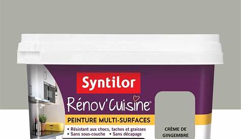 Peinture Renov Cuisine Leroy Merlin Syntilor Livreetvin.fr