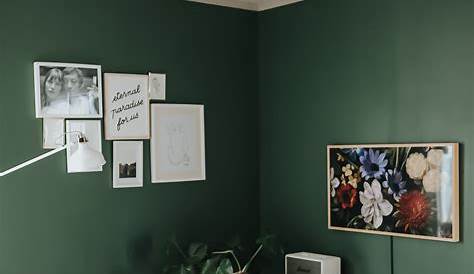 Peinture Salon Vert Pomme Avec Murale e Décoration