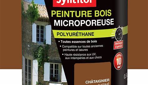 Peinture Syntilor Bois Ultra Protect Gris Anthracite