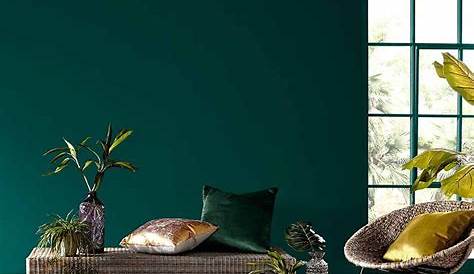 Peinture Vert Sapin Salon Une Maison écologique En Australie Blueberry Home