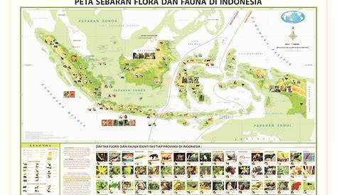 Peta Persebaran Flora dan Fauna di Indonesia Terlengkap - Borneo Channel