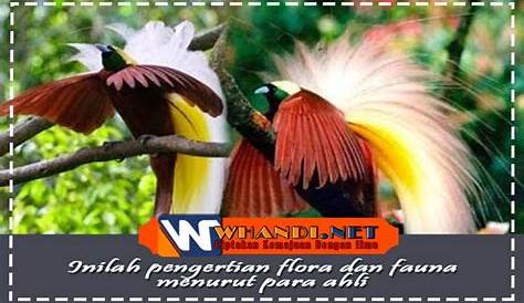 √ Pengertian flora dan fauna endemik » Whandi.Net