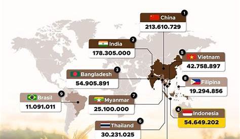 Ini 7 Negara Penghasil Beras Terbesar di Dunia, Ada Indonesia?