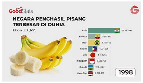 9 Jenis-Jenis Pisang di Indonesia dan Aneka Olahan Makanannya