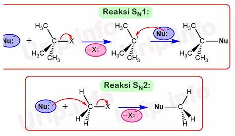 Schematic representation of SN2 and E2 potential energy surfaces (PES