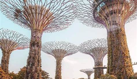 Tips ke Pergi Singapura Buat yang Baru Pertama Kali Ke Sana
