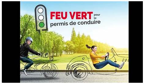 Feu Vert permis de conduire Auto-Moto-Cyclo : Auto5.be