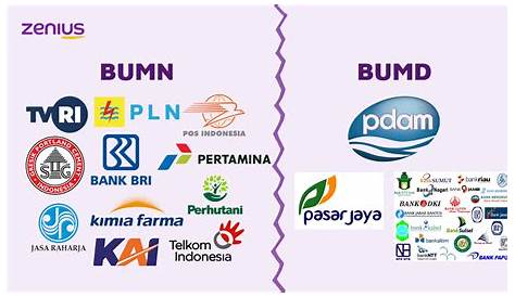 Perbedaan Bumn Dan Bums