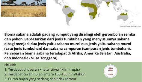 Persebaran Jenis Tumbuhan di Indonesia Barat, Tengah dan Timur - Guru