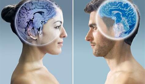¿Es el cerebro del hombre igual al de la mujer? Sorprendentes