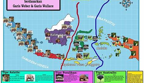 Peta Persebaran Flora dan Fauna di Indonesia dan Faktor yang