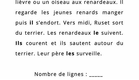 Texte De Lecture Ce2 Avec Questions De Compréhension - Exemple de Texte