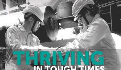 Moving Forward With You: PETRONAS Integrated Report 2020 | PDF