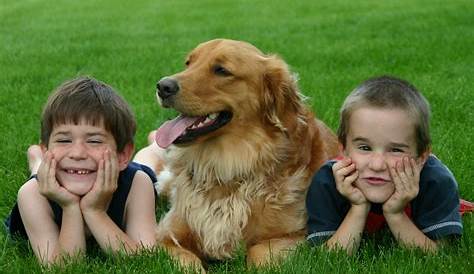 Pets Are Kids Too Premium Dog & Cat Dental Spray & Water Additive, 8oz