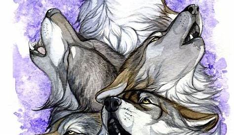 Pin by Night Firefly on волки | Anime wolf drawing, Dog drawing, Cute