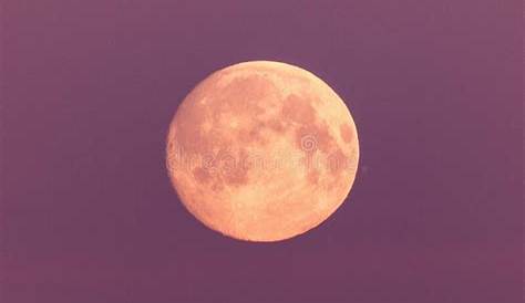 1,769 Photos de Pleine Lune Rose - Photos de stock gratuites et libres