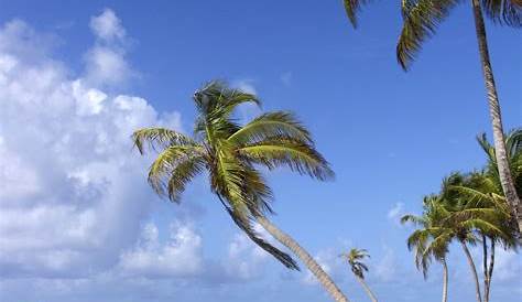 Farniente sur la plage, Sainte-Anne, Guadeloupe : Plages : Mer : Sainte