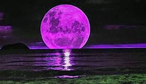 pleine lune dans le ciel violet photo – Image La suède gratuite sur