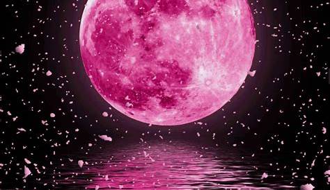 Pin by Dawn Washam🌹 on Pretty in PINK 1 | Moon painting, Moon art, Pink