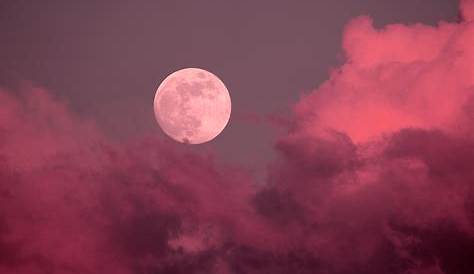 La pleine lune rose d'avril 2020 sera particulièrement romantique pour
