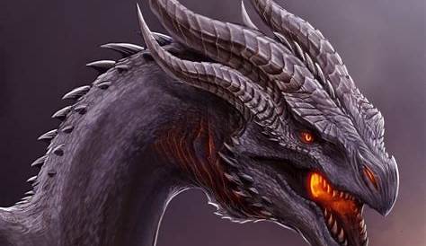 Dragon Heads 1 by Nythus on DeviantArt