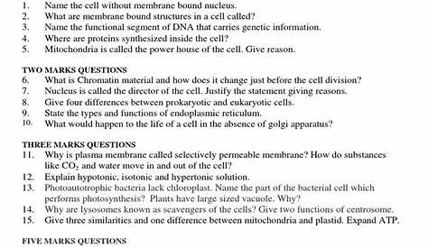 Important Questions for Class 9 Science Chapter 6 Tissues – Study Path