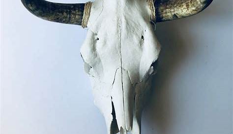 Carved Cow Skull // XL Horns // Tribal #6 - Skull Bliss - Touch of Modern