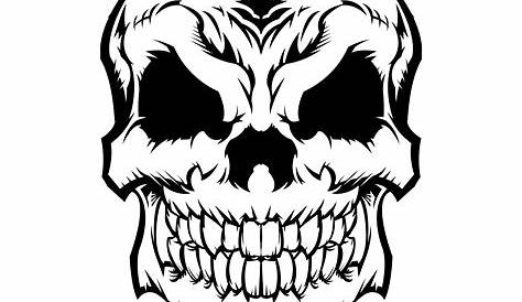 Anatomical Skulls Vector Set 536240 Vector Art at Vecteezy