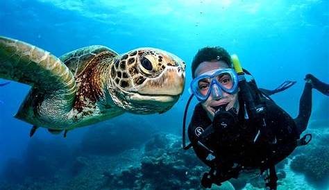 10 Interesting Marine Biologist Facts | My Interesting Facts