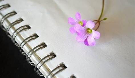 Spring Notebook Giveaway - Createful Journals Your Creative Inspiration