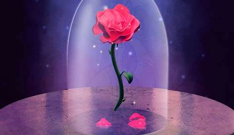 Picture Of The Rose From Beauty And The Beast Wallpapers Wallpaper Cave