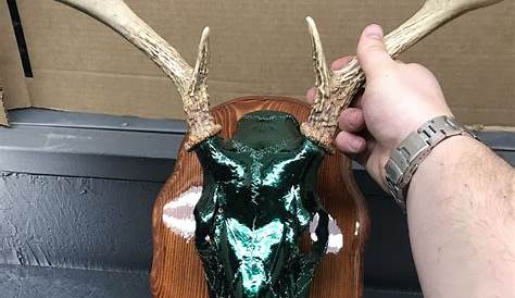 Hand-painted Replica Deer Skull to Mount Antlers Either - Etsy