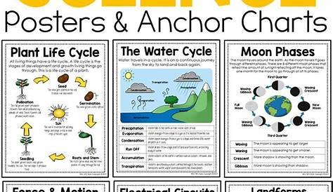 Science Grade 6 | Steck-Vaughn | 9780739879382