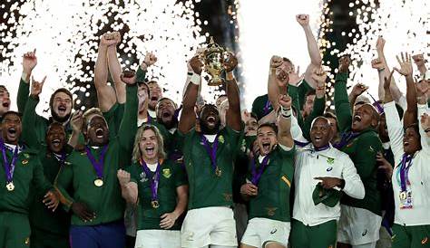 A year that was: Springbok rugby in 2017
