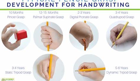 Specialized pencil grips to develop proper pincer grasp