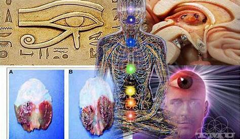 Pineal Gland Third Eye Bible Awakening Guided Meditation To Activate