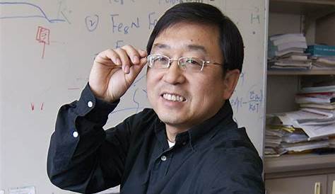 Ping Wang, MD, PhD | Diabetes Institute | Michigan Medicine