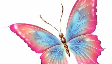 Papillons - Pink And Blue Butterfly Png - Free Transparent PNG Download