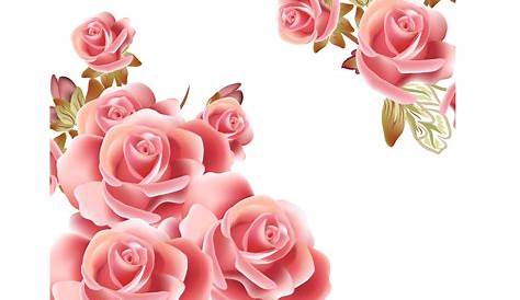 Rose Pink Clip art - Light Pink Rose PNG Clipart | Цветочные бордюры