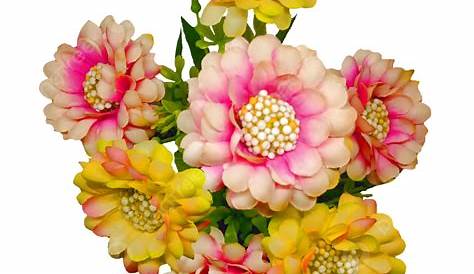 Yellow Transparent Frame with Pink Flowers | Gallery Yopriceville