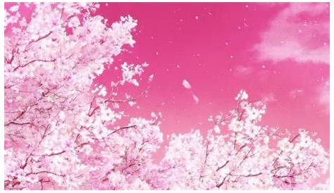 Pink Anime GIF - Pink Anime Aesthetic - Discover & Share GIFs