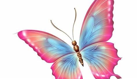 Pink Butterfly PNG Image Transparent Background | PNG Arts