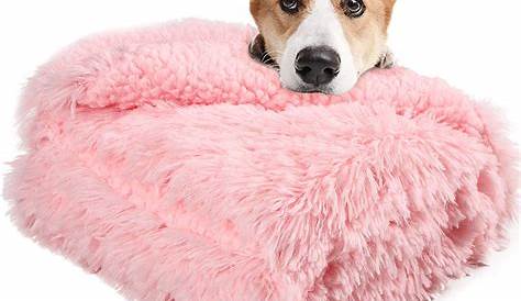 Image result for pink fur dog blankets | Dog blanket, Pink dog, Pink