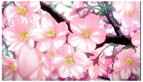 Rosesandhands Pink Flowers Anime GIFs - Find & Share on GIPHY