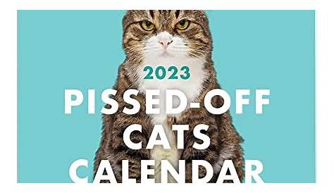 2023 Pissed-off Cats Calendar / Funny Cat Wall Calendar - Etsy Canada