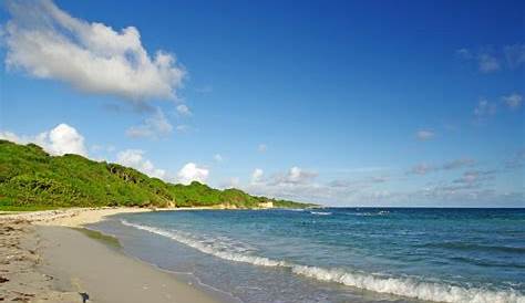 Plage des raisins clairs. Saint-François. Guadeloupe. | Plage