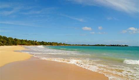 Retrouvez Plage Grande Anse des Salines Guadeloupe grâce à VillaVEO
