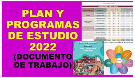 Mineduc Planes Y Programas De Estudio